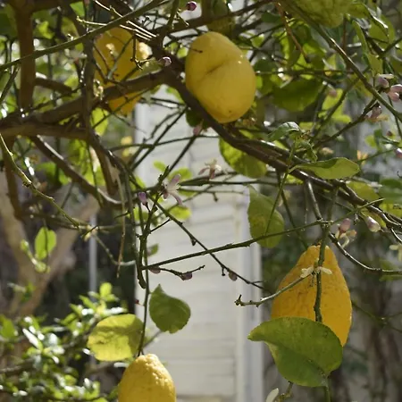 Aurea Casa de Campo Ispica