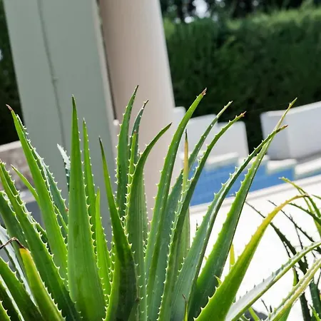 Casa de Campo Aurea *