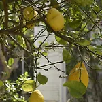 Aurea Country house Ispica