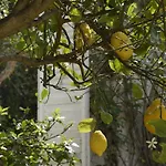 Aurea Country house