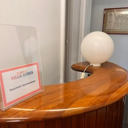 乡村民宿 Aurea *