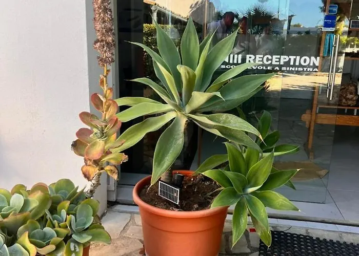 Aurea * Ispica